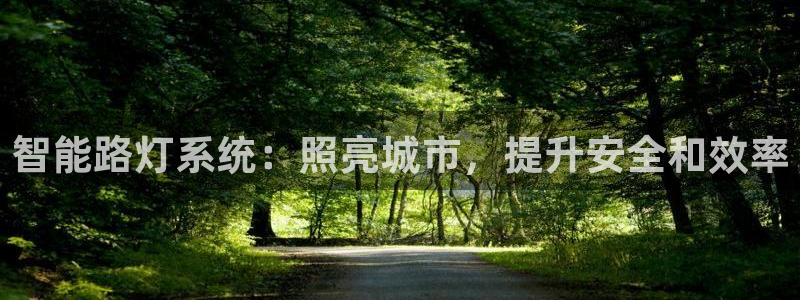 智能路灯系统：照亮城市，提升安全和效率