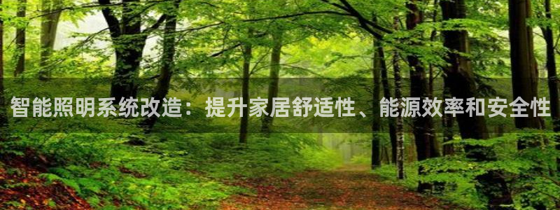 智能照明系统改造：提升家居舒适性、能源效率和安全性