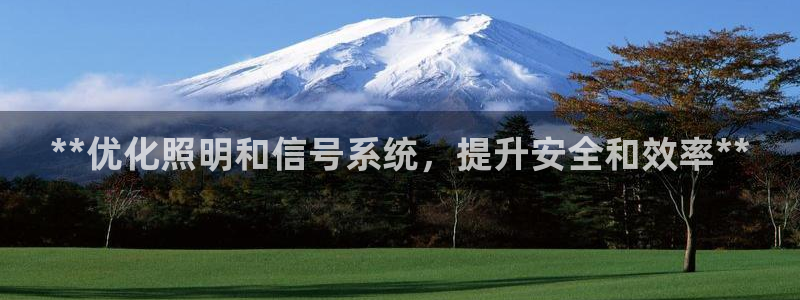 **优化照明和信号系统，提升安全和效率**