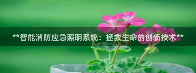 **智能消防应急照明系统：拯救生命的创新技术**