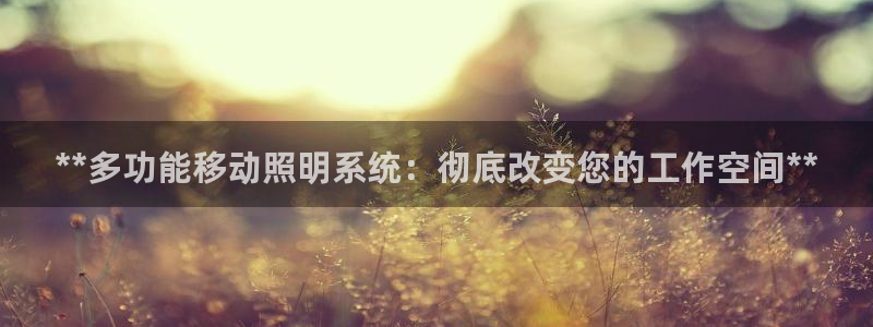 **多功能移动照明系统：彻底改变您的工作空间**