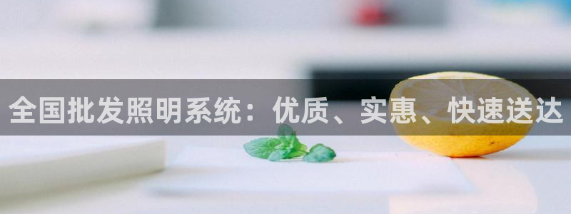 全国批发照明系统：优质、实惠、快速送达