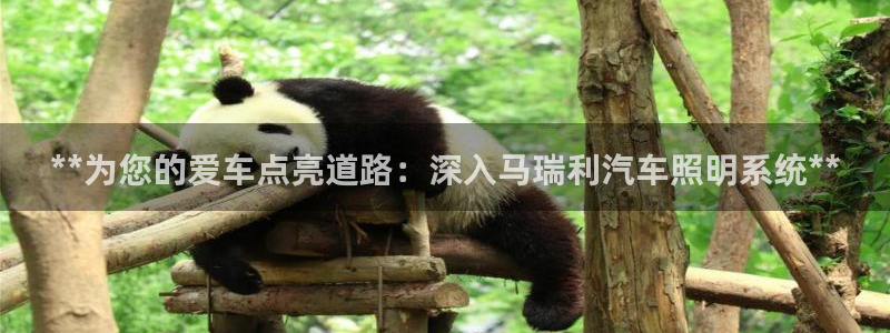 **为您的爱车点亮道路:深入马瑞利汽车照明系统**