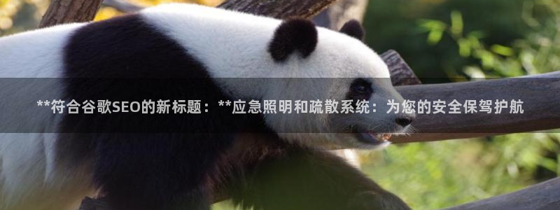 **符合谷歌SEO的新标题:**应急照明和疏散系统:为您的安全保驾护航