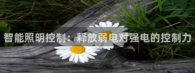 智能照明控制：释放弱电对强电的控制力