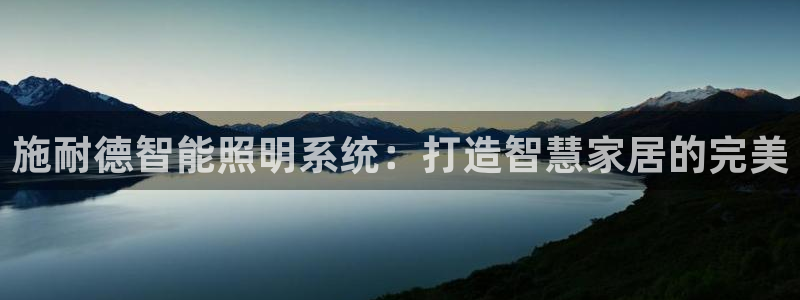 施耐德智能照明系统：打造智慧家居的完美