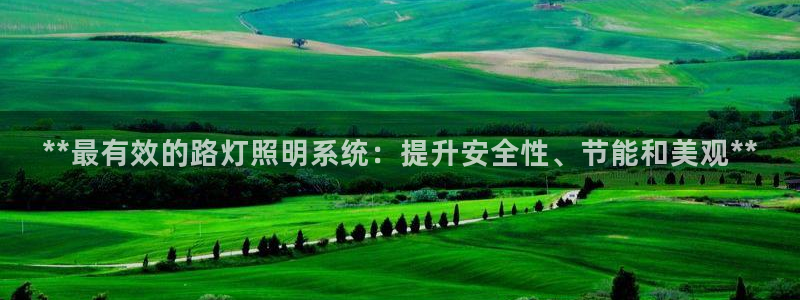 **最有效的路灯照明系统：提升安全性、节能和美观**