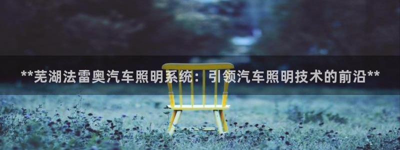 **芜湖法雷奥汽车照明系统:引领汽车照明技术的前沿**