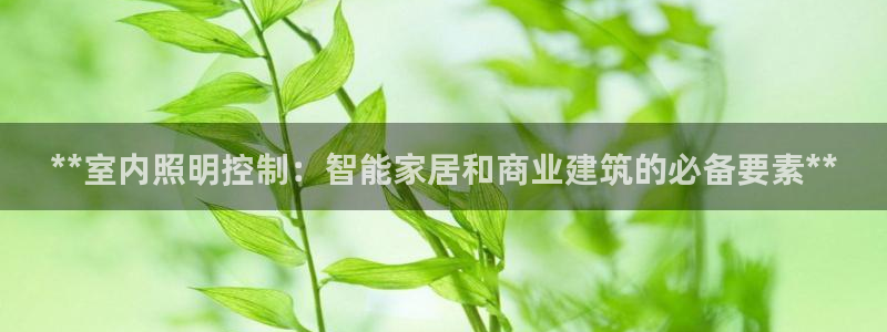 **室内照明控制:智能家居和商业建筑的必备要素**