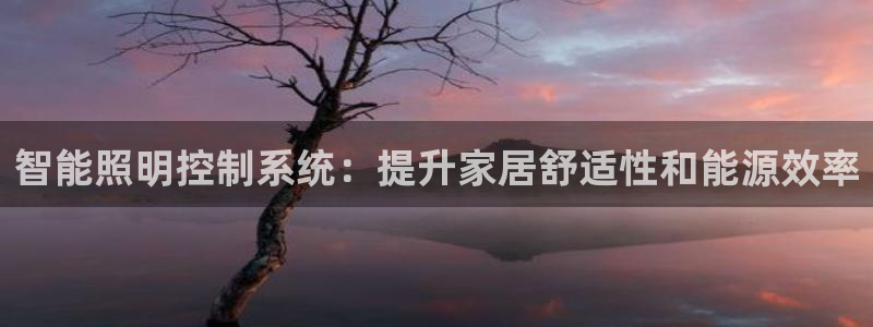 智能照明控制系统：提升家居舒适性和能源效率