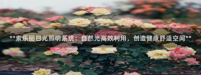 **索乐图日光照明系统:自然光高效利用,创造健康舒适空间**