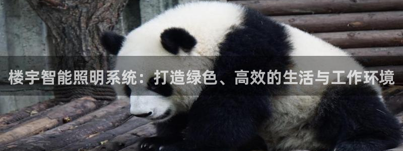 楼宇智能照明系统：打造绿色、高效的生活与工作环境