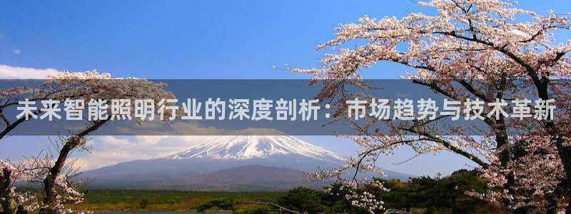 未来智能照明行业的深度剖析：市场趋势与技术革新