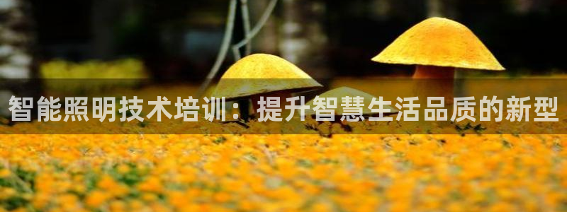 智能照明技术培训：提升智慧生活品质的新型