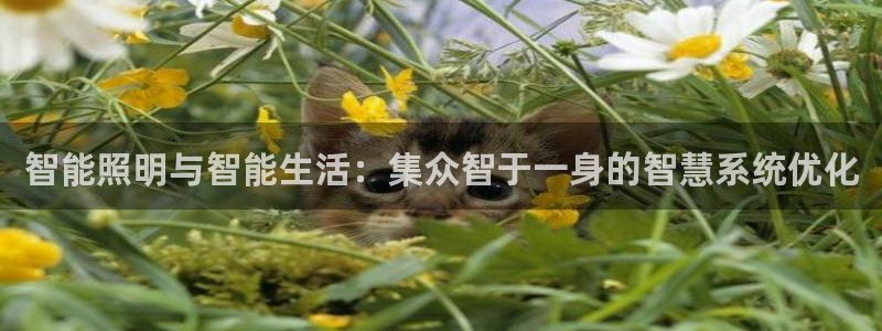 智能照明与智能生活:集众智于一身的智慧系统优化