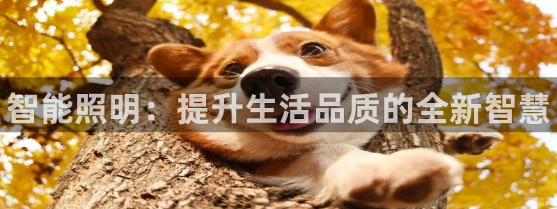 智能照明：提升生活品质的全新智慧