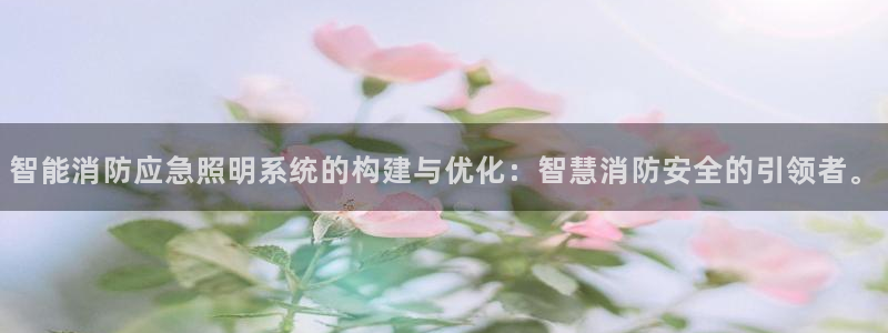 智能消防应急照明系统的构建与优化：智慧消防安全的引领者。
