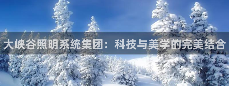 大峡谷照明系统集团：科技与美学的完美结合