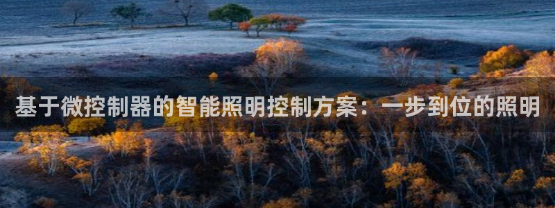 基于微控制器的智能照明控制方案：一步到位的照明