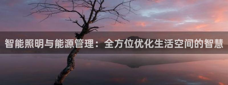 智能照明与能源管理：全方位优化生活空间的智慧
