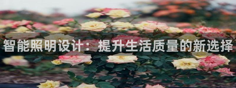 智能照明设计：提升生活质量的新选择